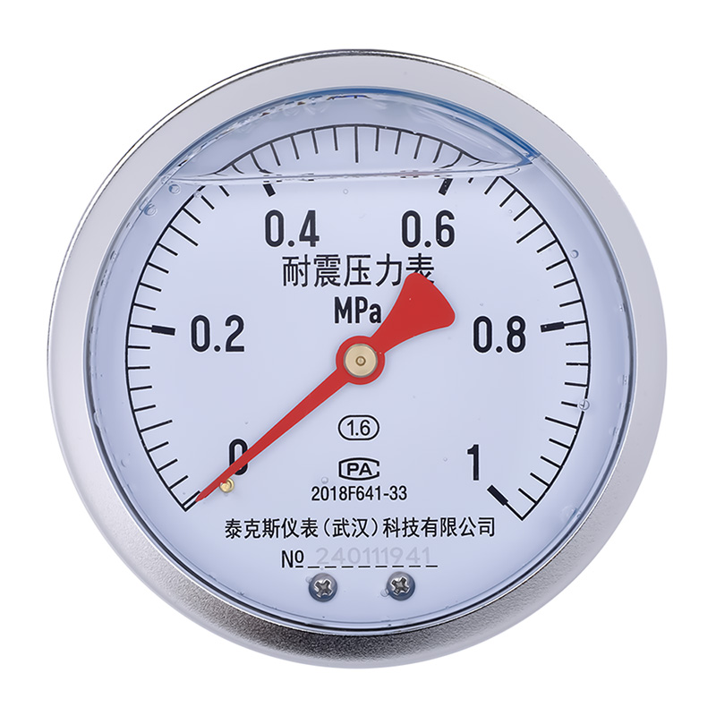 轴向耐震压力表 YN-100Z