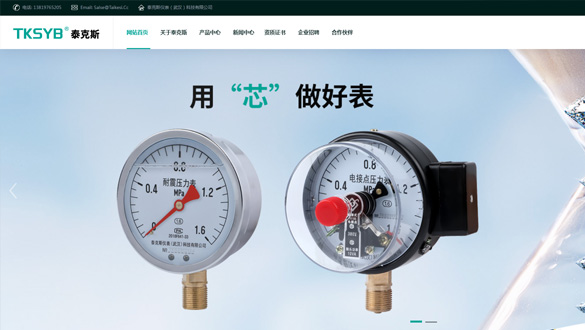 热烈祝贺泰克斯仪表（武汉）科技有限公司网全新改版上线了！新改版的泰克斯仪表官网不仅丰富了公司网站功能，全面反映了公司形象；而且还促进员工互动和文化交流，更加强了公司对外宣传。欢迎新老客户登陆http://www.taikesi.cc/泰克斯仪表官网进行产品选购与咨询服务！我们将尽其所能、全心全意的为您服务！